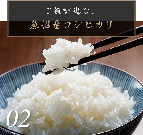 ご飯が進む、コシヒカリ